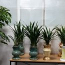 더불어행정사 합동사무소 이미지