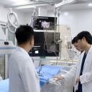 서울동물영상종양센터 네이버블로그