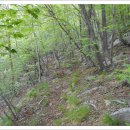 민재여울목산장 이미지