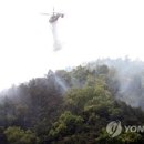 우암산등산로1 이미지