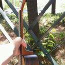 기타렐레(우쿨렐레) 이미지