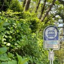 거제도펜션 하늘아리 | 자연과 함께하는 힐링 감성 공간 개별 테라스가 매력적인 거제 펜션 '하늘아리펜션'