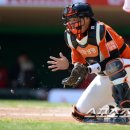 군서밧데리 이미지