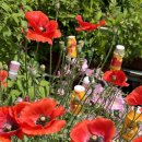 하나로마트 호암행복지점 이미지