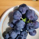 경봉마트 이미지