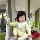 아인비츠 Daum카페