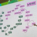 헬스뷰티 트랜드 이미지