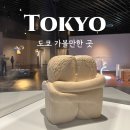 고대타이어 | 도쿄 아티존 미술관 도쿄 여행 가볼만한 곳 추천