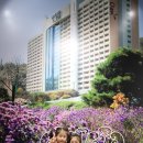 홍천목장 이미지