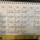 리움 산후조리원 | 판교 더리움 산후조리원 후기