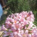 천중농장 이미지