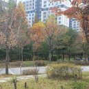 한신A경로당 이미지