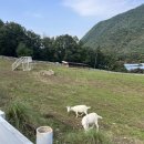 목동목장 | [ 대구 근교 경북 상주시: 목동목장 ]가족 데이트 나들이 내돈내산 솔직 후기