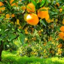 정방연로 이미지