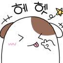 도토리 강아지 유치원 이미지