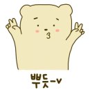 펫의류&펫소품 만들기 이미지