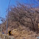 정의2리 | 경북 청도 선의산(757m) 주민에게 풍요를 내리는 암바위 전설의 명산(2024.2.17)
