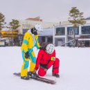 에이스교육 | 평창 휘닉스파크 렌탈샵 키즈 스키강습 에이스 리프트권 할인