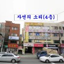 완전기초 명리학 이미지