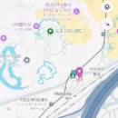 랩온 주식회사 | [또쿄] 1일차 - 도쿄 디즈니랜드 꿀팁 + 하얏트 리젠시 도쿄베이 투숙 후기