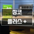 징코 플러스 + 내돈 내산 리얼 후기