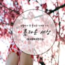 [감사] 도군님에게 받은 손글씨 릴레이입니다.