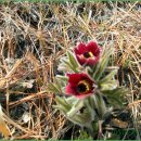 흥해 건재사 이미지