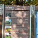 봉강 신룡리 형제 의병장 묘역 및 쌍의사 | ◐ 광양, 임진왜란 영웅 ‘강희보·강희열 형제의병장 추모제’