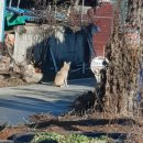 사곡2리 경로당 이미지