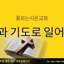 시온누리 이미지