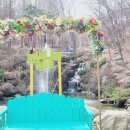 아름다운세차 - 중랑구 면목로37길 41-5 | 아산 영인산 자연휴양림 꽃구경 포토존 명소 & 아산출장세차 후기