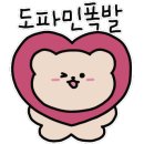 테르미에스테틱 광주 본점