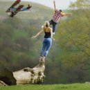 영 행정사사무소 이미지