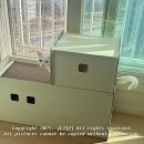 디앤 | 쥬디앤캣 스크래쳐 후기 초대형 숨숨집 루프탑 롱터널 다락방 재구매 후기