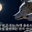 바람의 빛깔 by 오연준 이미지
