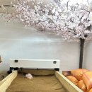 미라클효소찜질 이미지