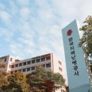 259 이미지