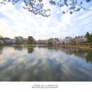 영산 연지못 이미지