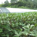 무성농장 이미지