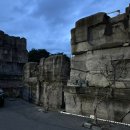 반려반상 | 대구 생선구이 송해공원 연지담 모듬생선구이반상 먹방🌼