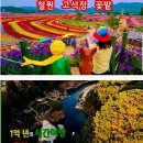 10/4(일)소이산 모노레일 겸 트레킹 민통선 백마부대전적비 노동당사 고석정 가을축제 한탄강 잔도길(철원 이미지