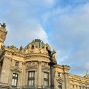 우리 몸 탐구여행 | 3월의 파리 여행 | 오페라 가르니에 | 기념품, 파리오페라발레단 공연 Impressions, 1층 오페라석 비추