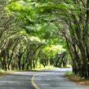 청산도 안단테 이미지