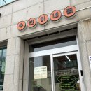 속초 애견동반식당 수빈이네찜 강원도 가오리찜 내돈내산 솔직후기