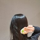 쓰다미 네이버블로그