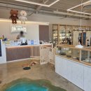 애니멀클럽 이미지