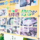 곰탕연구가