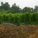 성장농원 이미지