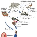 용인센트럴동물병원 이미지