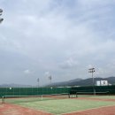 칠곡군종합운동장 테니스장 이미지